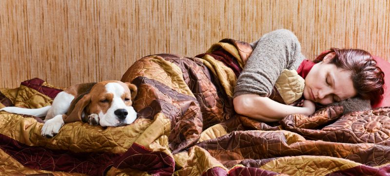  Pet Companionship for Women
