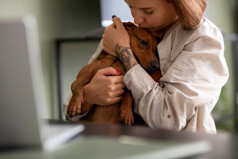 Local Pet Community