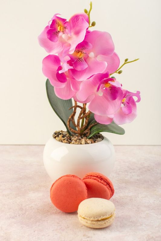 Faux Orchids