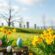 Navigating April in Canada : Holidays and Awareness Days