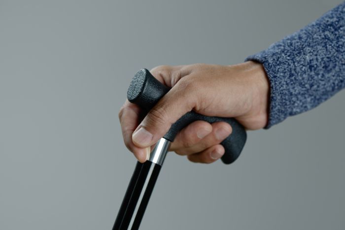 walking stick