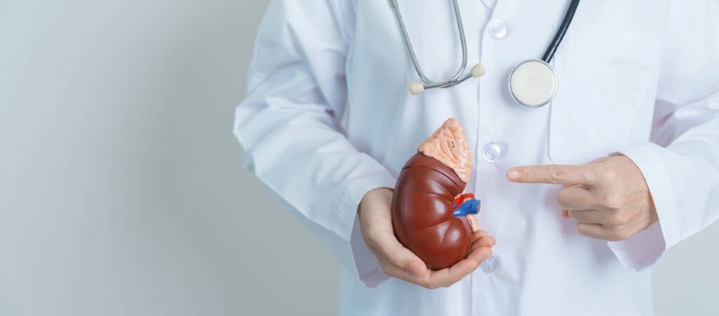kidney disease