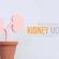 Understanding Kidney Health in Canada –  Educational Guide
