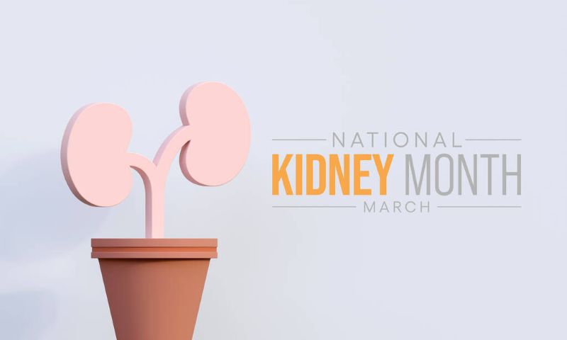 Understanding Kidney Health in Canada –  Educational Guide