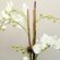 How to Choose High-Quality Faux Orchids That Don’t Look Fake