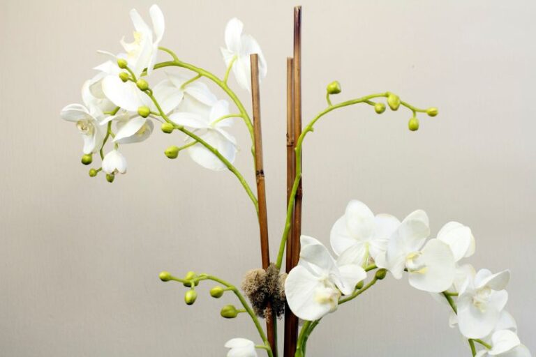 Faux Orchids
