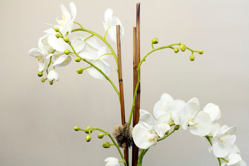 Faux Orchids