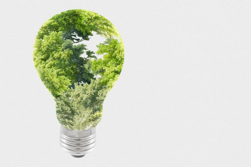 Net Zero
