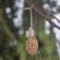 Easy DIY Easter Egg Bird Feeder Project You Can Do Today
