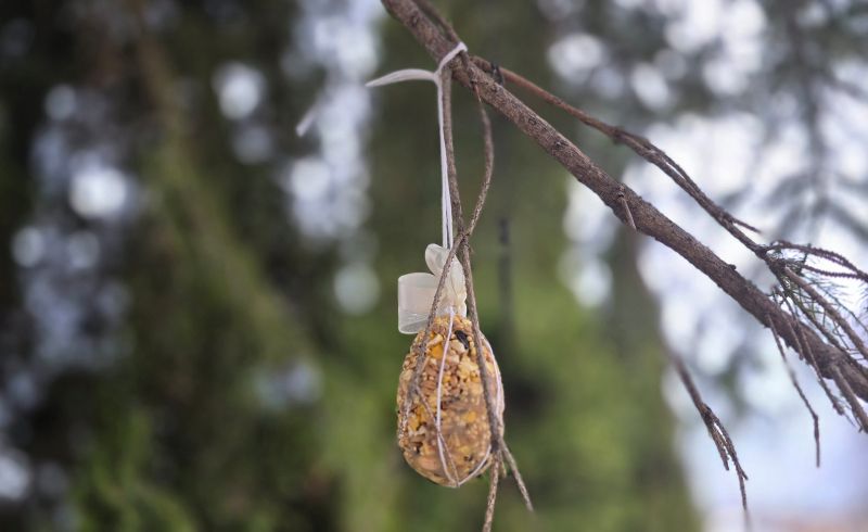 Easter Egg Bird Feeder