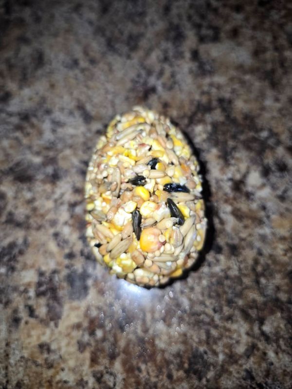 bird seed egg