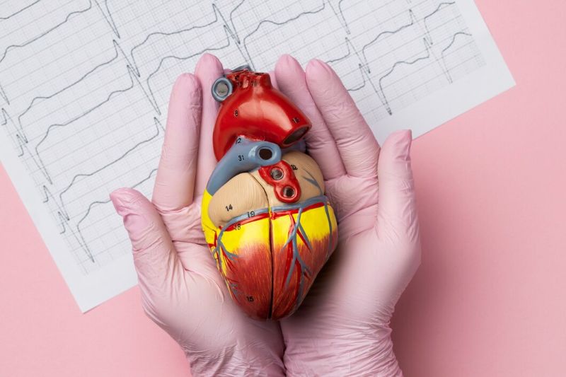 Cardiovascular disease