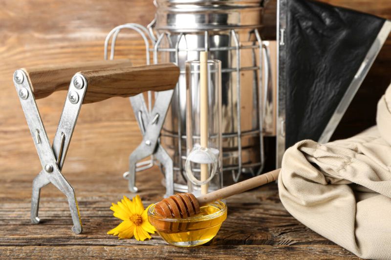bee supplies