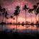 5 Non-Touristy Things to Do in Hawaii