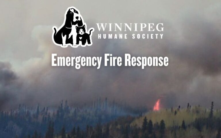 Winnipeg Humane Society
