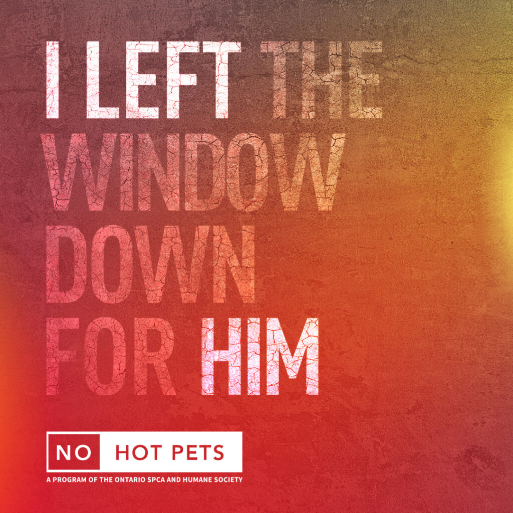 Take the No Hot Pets pledge this summer