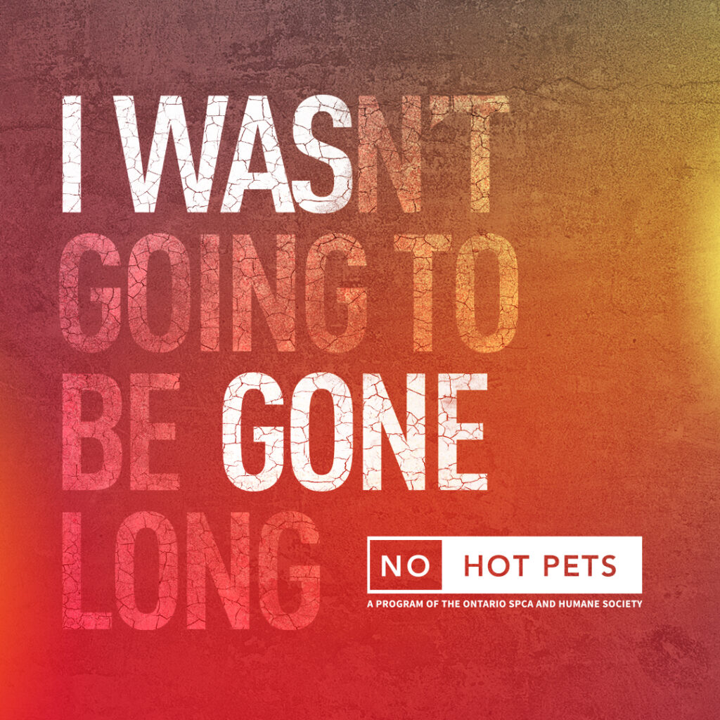 No Hot Pets