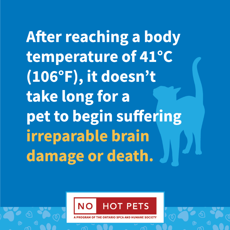 Take the No Hot Pets pledge this summer