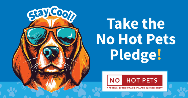Take the No Hot Pets pledge this summer