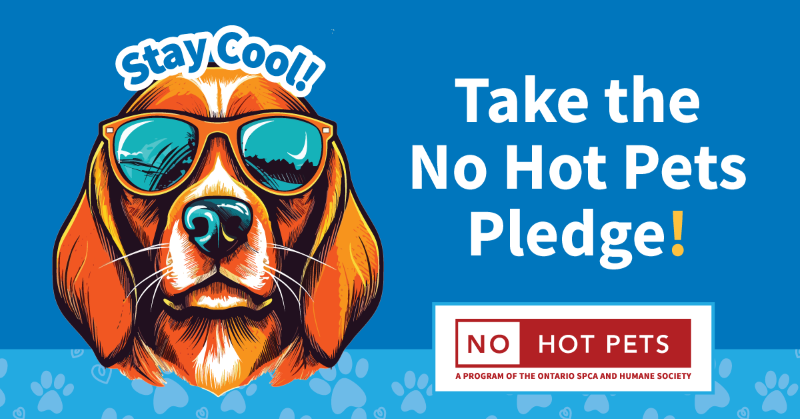 Take the No Hot Pets pledge this summer