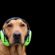 Canada Day Fireworks: Protecting Your Pets