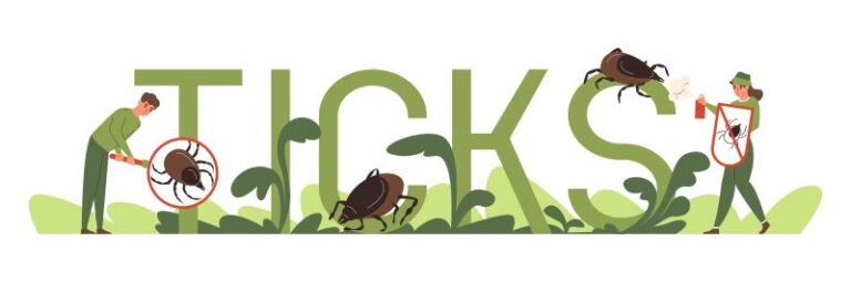 Ticks