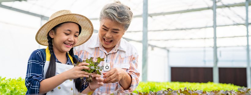 Medical Alert System Medical Alert System