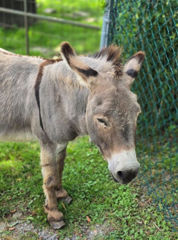 Mikey at Jungle Cat World