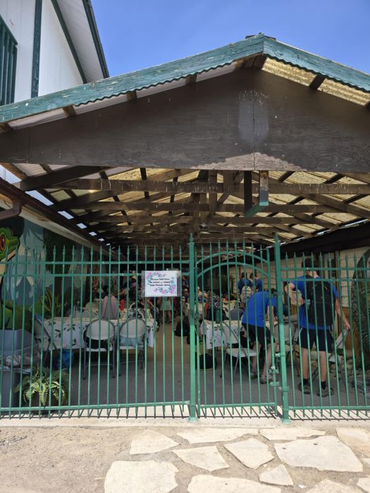 Jungle Cat World Wildlife Park 