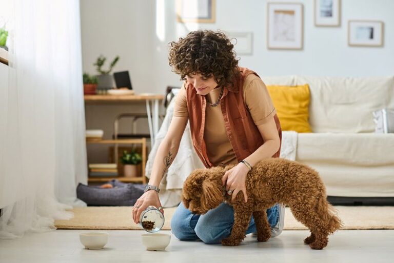 Pet sitter