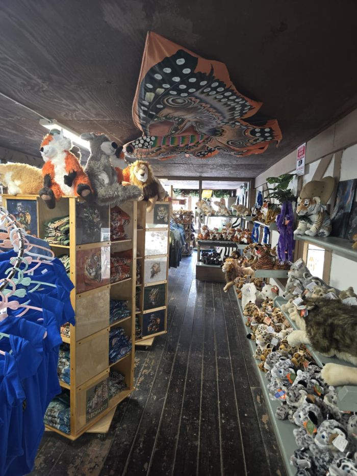 Jungle Cat World Wildlife Park