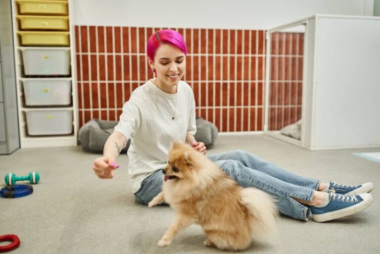 Pet Boarding Services