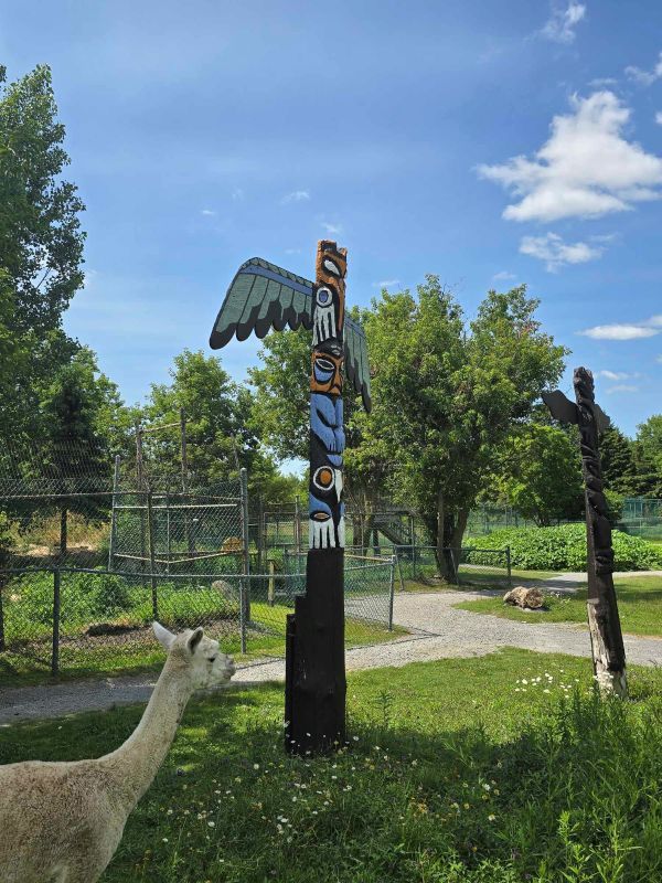 Jungle Cat World Wildlife Park