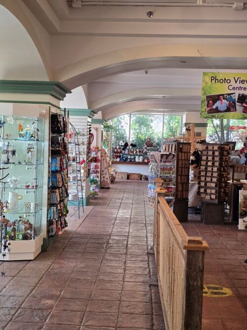 Discovering the Hidden Gem of Niagara Falls: Bird Kingdom