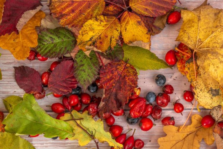 Fall Candles You'll Want To Burn All Day Long