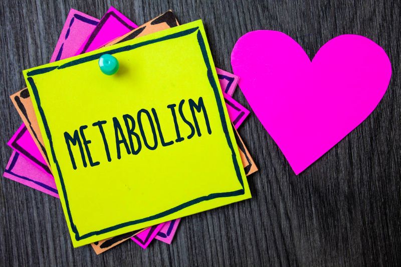 Discover how metabolism, the 'unseen architect,' fundamentally shapes your health. Understand its crucial role in energy, weight, & overall well-being.