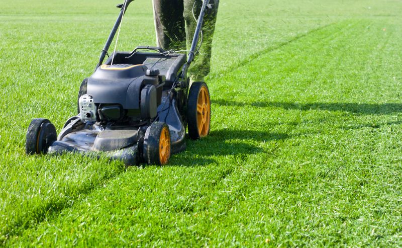 What's the Best Height to Mow Your Lawn?