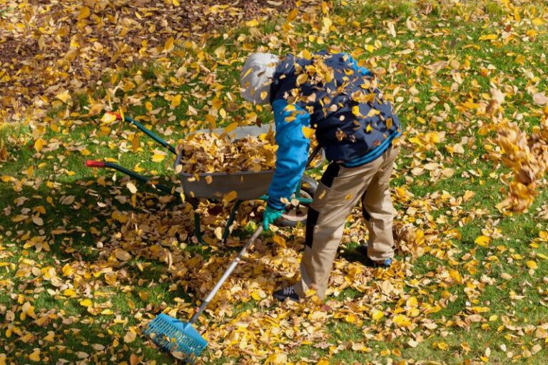 Essential Safety Tips for Fall