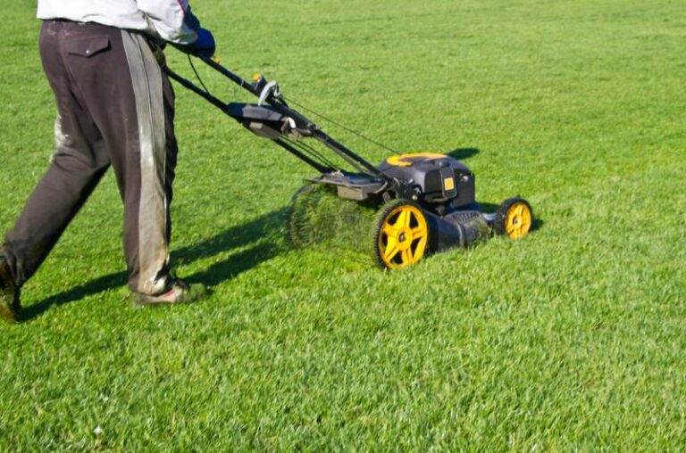 What's the Best Height to Mow Your Lawn?