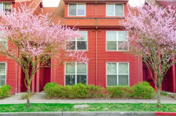How to Effectively Manage a Multifamily Property