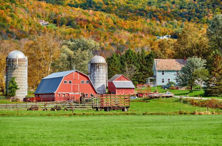 Traditional Farm Life: The Reason Why So Many Can’t Resist Its Charm