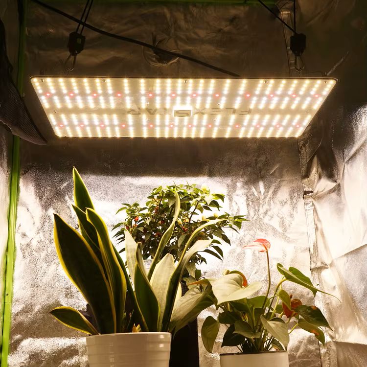 LED Grow Light 