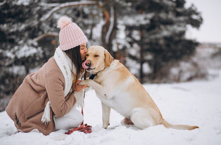 Crucial Winter Safety Tips for Dogs