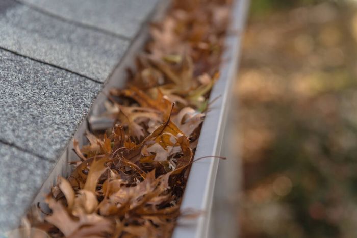 Five Steps to Help Prep Your Yard for Winter