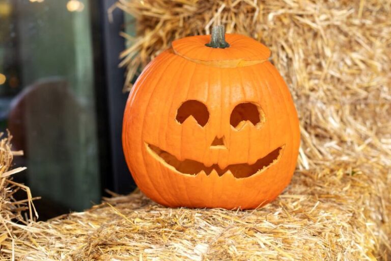 The Essential Guide to Preserving Your Pumpkins with Vinegar