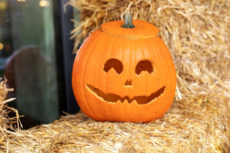 The Essential Guide to Preserving Your Pumpkins with Vinegar The Essential Guide to Preserving Your Pumpkins with Vinegar