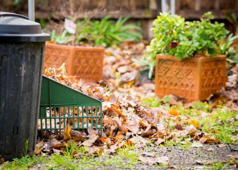 Five Steps to Help Prep Your Yard for Winter