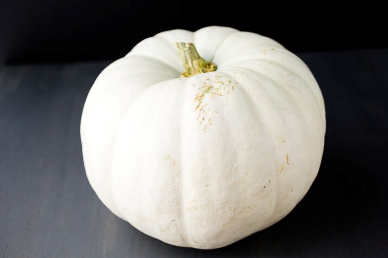 White Pumpkin: Honoring Pregnancy & Infant Loss