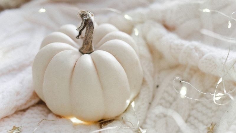 White Pumpkin: Honoring Pregnancy & Infant Loss