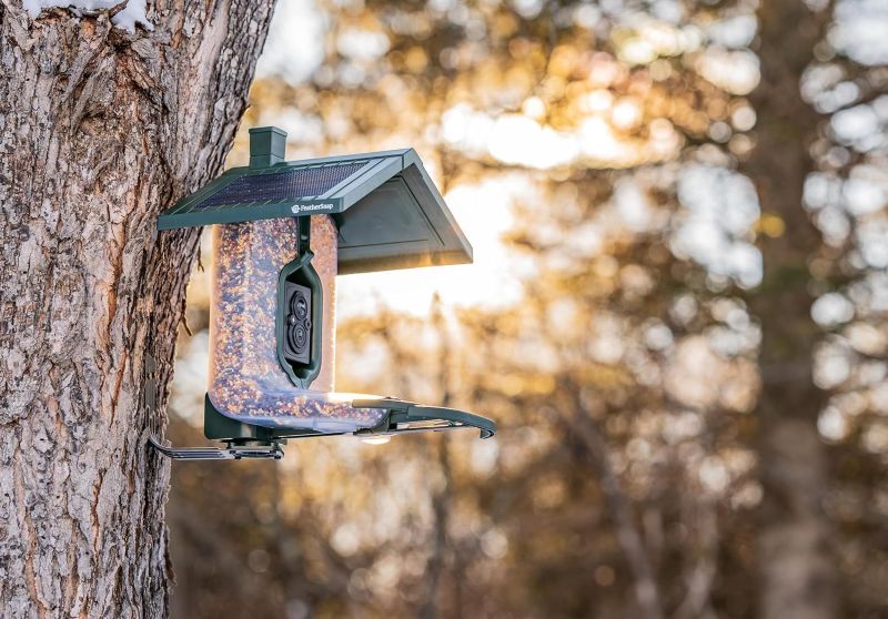 Your Guide to the Smart Bird Feeder With Camera